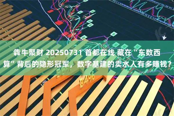 犇牛聚财 20250731 首都在线 藏在“东数西算”背后的隐形冠军，数字基建的卖水人有多赚钱？