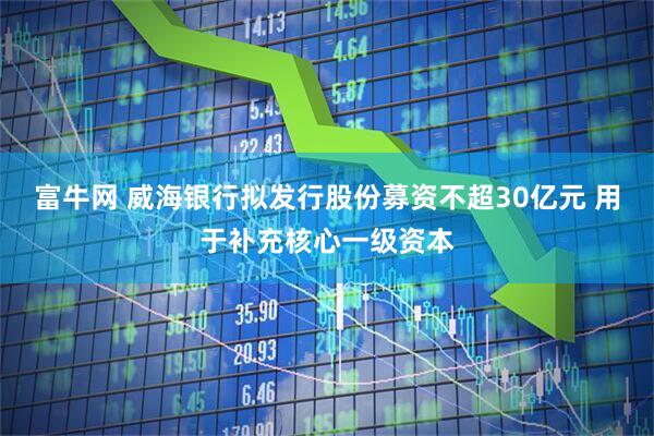 富牛网 威海银行拟发行股份募资不超30亿元 用于补充核心一级资本