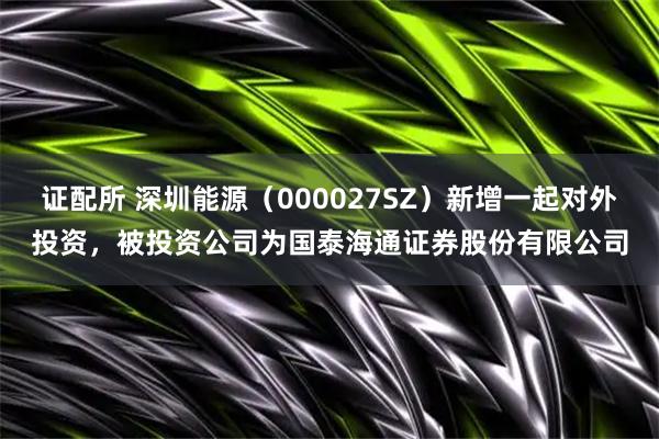 证配所 深圳能源（000027SZ）新增一起对外投资，被投资公司为国泰海通证券股份有限公司